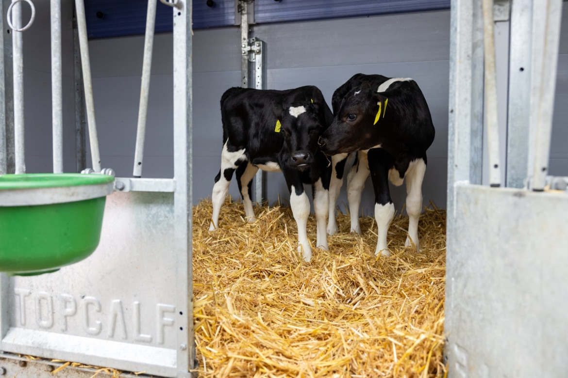 089A0602-bewerkt-1_0x0_acf_cropped