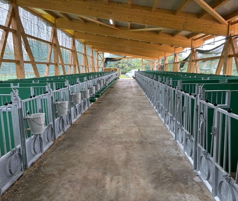 1d1ab390-987e-4717-8205-783228fd3f25 (1)