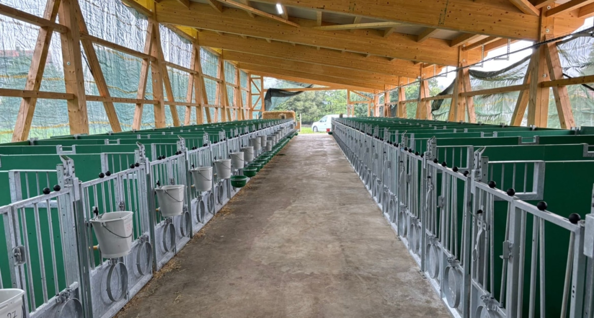 1d1ab390-987e-4717-8205-783228fd3f25-1_1400x750_acf_cropped