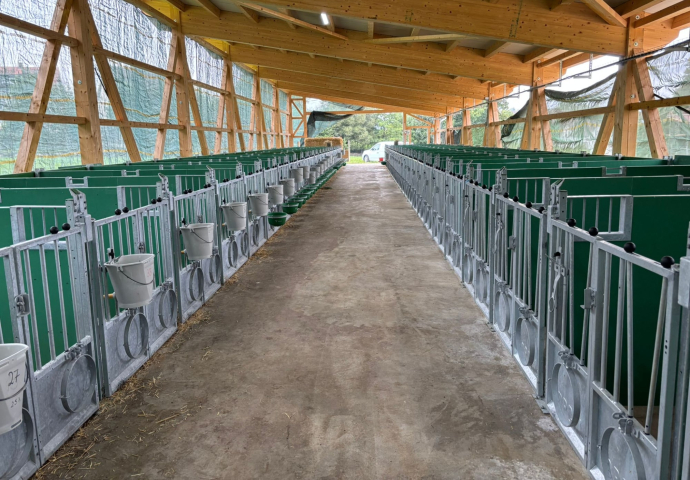 1d1ab390-987e-4717-8205-783228fd3f25-1_690x480_acf_cropped