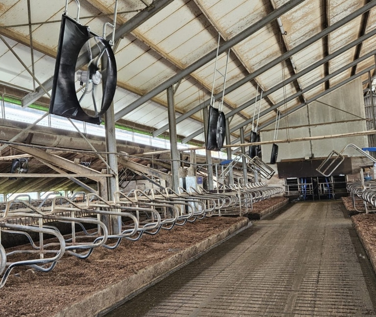 649850521_1372475391577312_4683174845981615641_n (1)