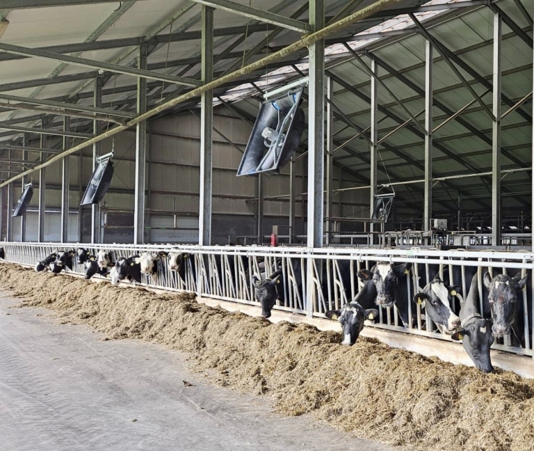 649850845_1372475371577314_1028327425031114396_n