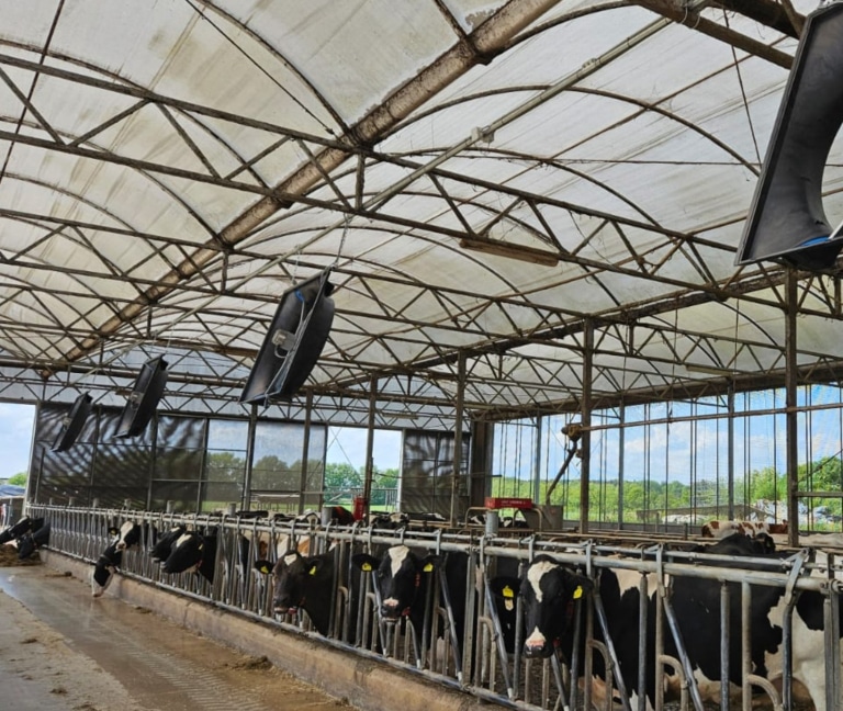 649884831_1372475368243981_9181255689078481219_n