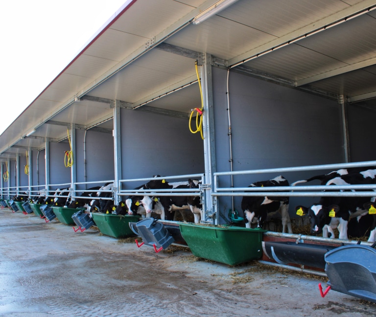 Afbeelding van WhatsApp op 2025-03-25 om 18.36.00_971dd31d