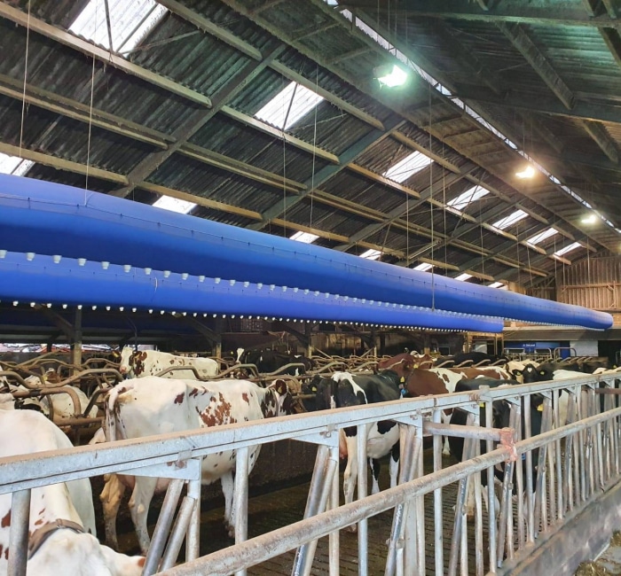 Buisventilatie-Knopf-Oswald-4_700x650_acf_cropped