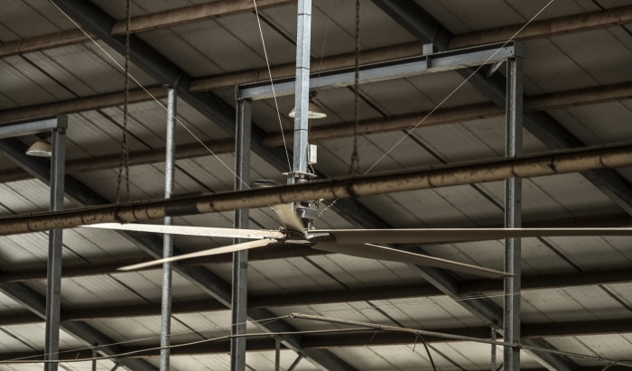 DSF6358_700x411_acf_cropped-1