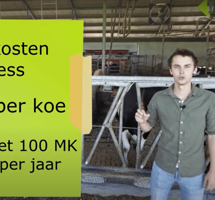 Hoeveel-kost-hittestress-1_700x650_acf_cropped-1