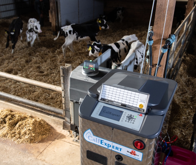 Holm en Laue kalverdrinkautomaat