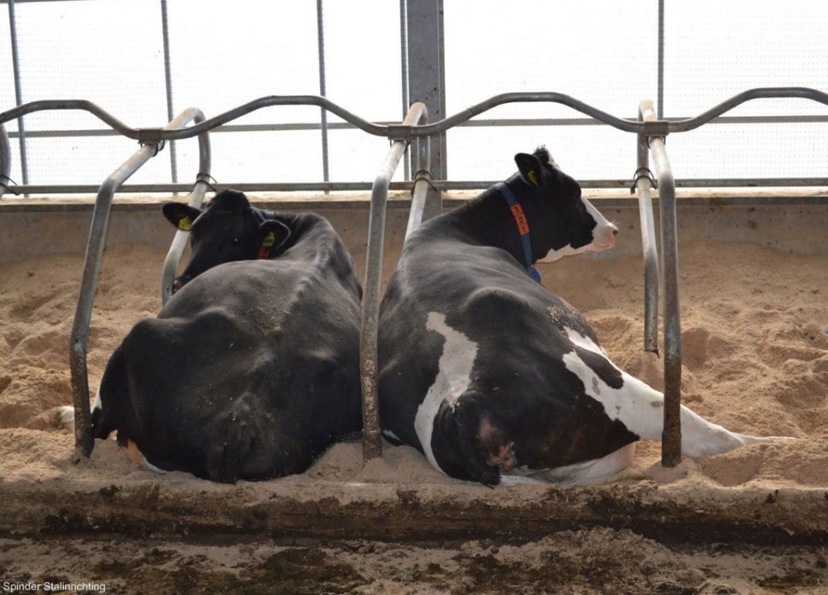 Ligboxafscheiding-Model-Delta-DS-4_0x0_acf_cropped