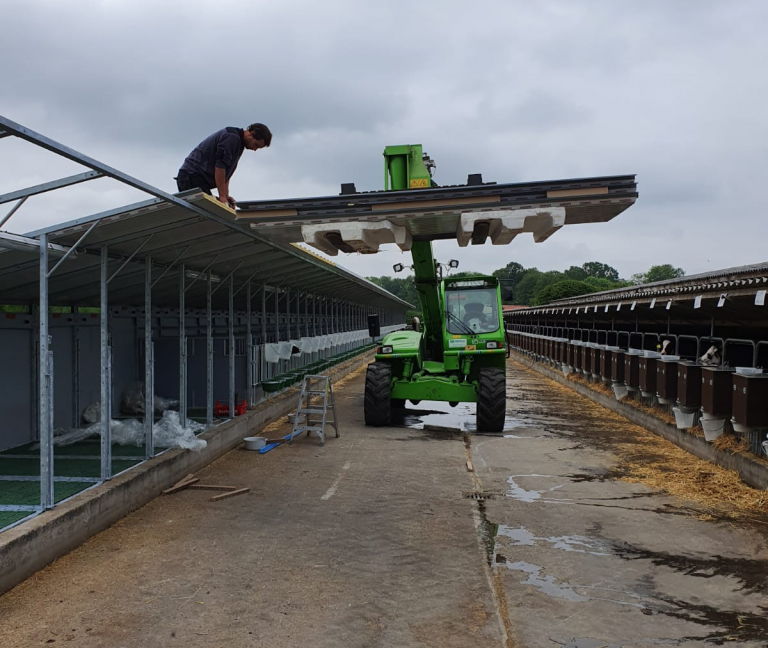 WhatsApp Image 2020-05-20 at 17.16.55