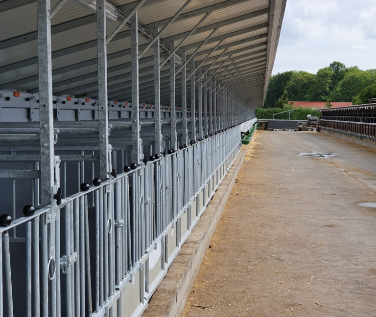 WhatsApp Image 2020-05-20 at 17.16.56 (2)