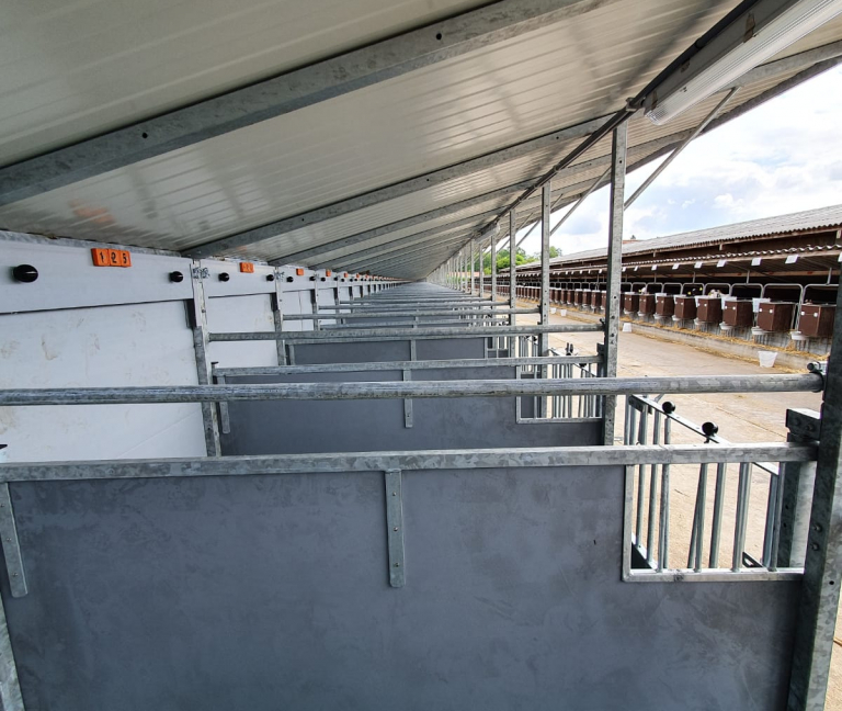 WhatsApp Image 2020-05-20 at 17.16.56 (3)