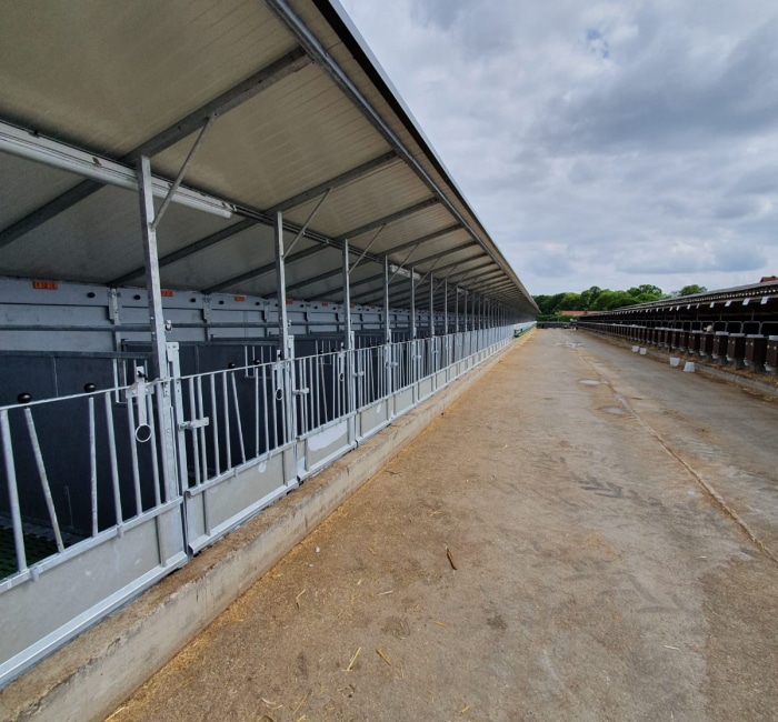 WhatsApp-Image-2020-05-20-at-17.16.56_700x650_acf_cropped