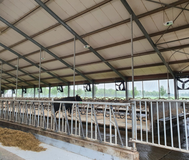 Abbi XXP-2 stalventilatoren