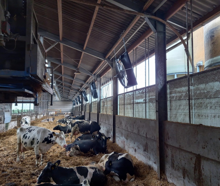 stalventilator