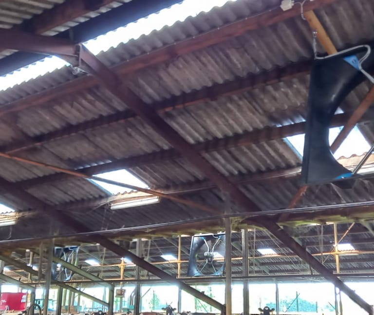 Te Kamp - 12x Abbi stalventilator