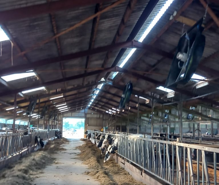 Te Kamp - 12x Abbi stalventilator