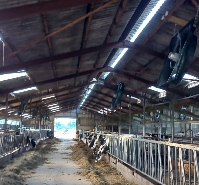 WhatsApp-Image-2022-06-29-at-6.49.30-PM_700x650_acf_cropped