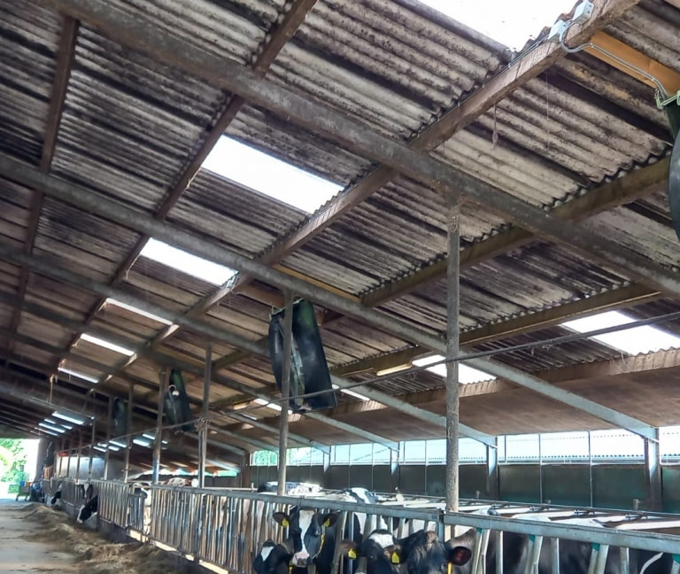 Te Kamp - 12x Abbi stalventilator