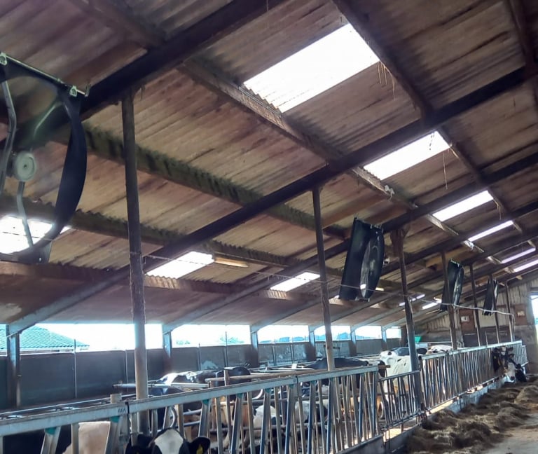 Te Kamp - 12x Abbi stalventilator