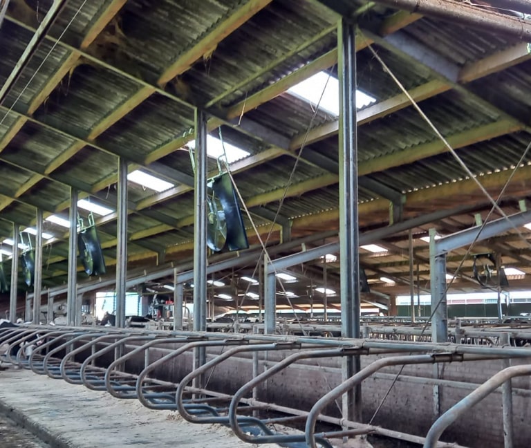 Te Kamp - 12x Abbi stalventilator