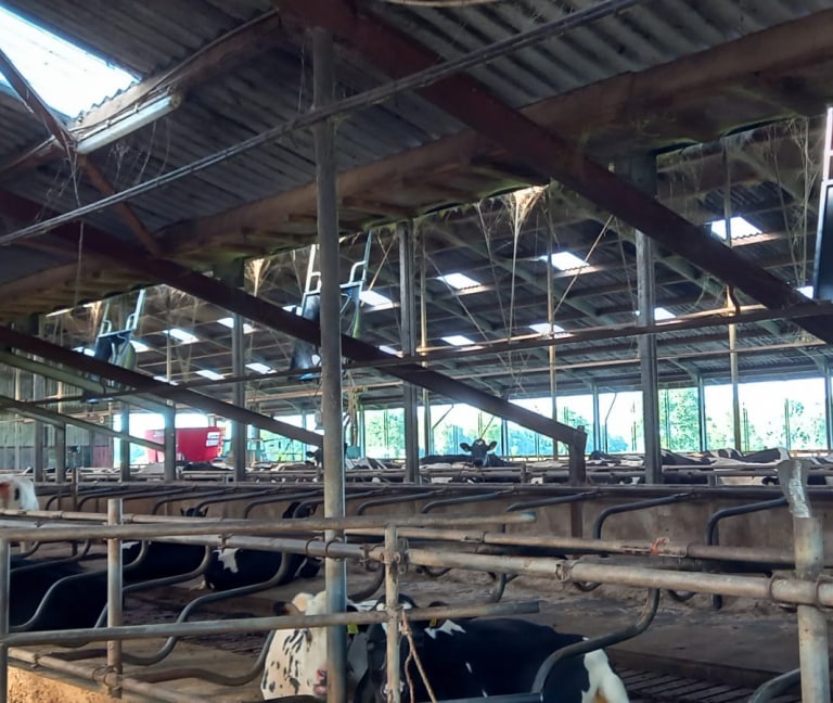 Te Kamp - 12x Abbi stalventilator