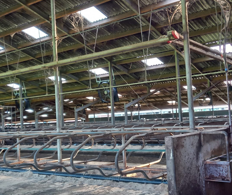 Te Kamp - 12x Abbi stalventilator