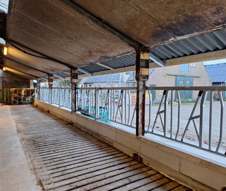 WhatsApp Image 2025-12-08 at 15.15.48 (1)