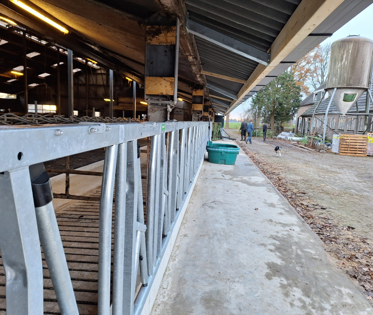 WhatsApp Image 2025-12-08 at 15.15.48