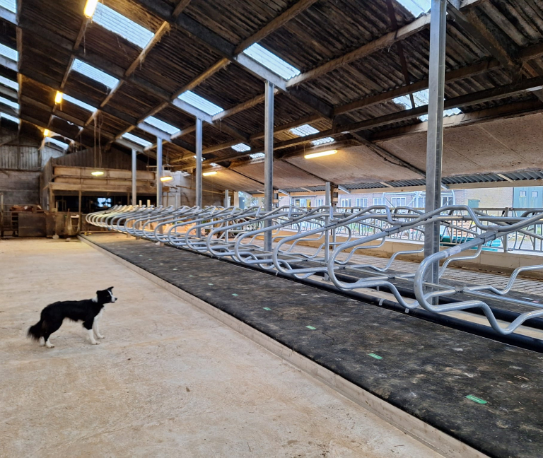 WhatsApp Image 2025-12-08 at 15.15.49 (1)