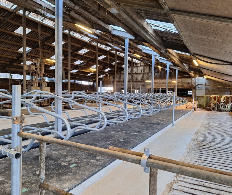 WhatsApp Image 2025-12-08 at 15.15.49