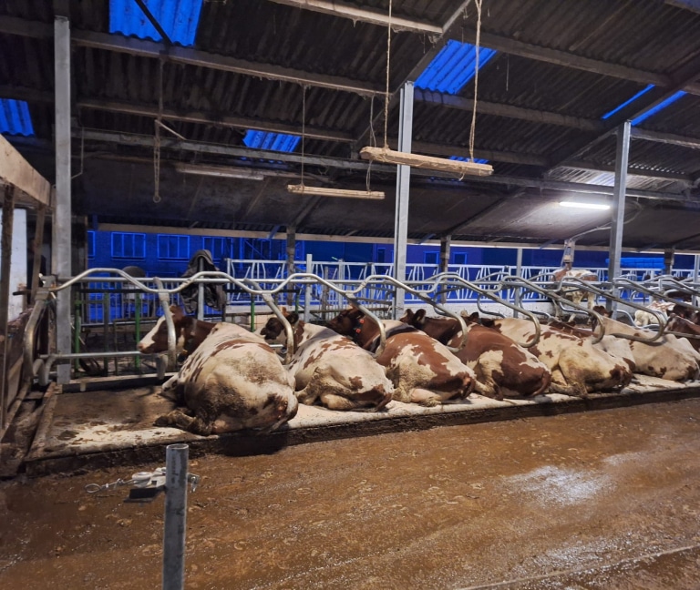 WhatsApp Image 2025-12-08 at 15.15.50 (2)