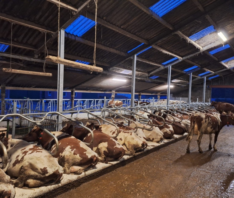 WhatsApp Image 2025-12-08 at 15.15.50