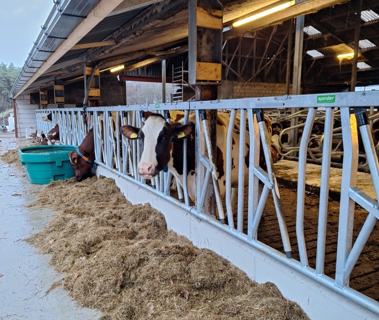 WhatsApp Image 2025-12-08 at 15.15.51 (1)