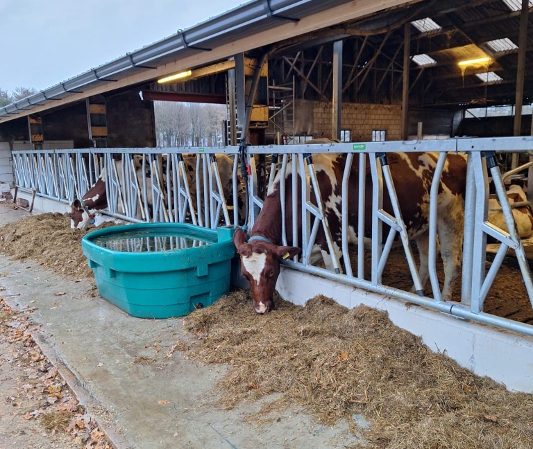 WhatsApp Image 2025-12-08 at 15.15.51 (2)