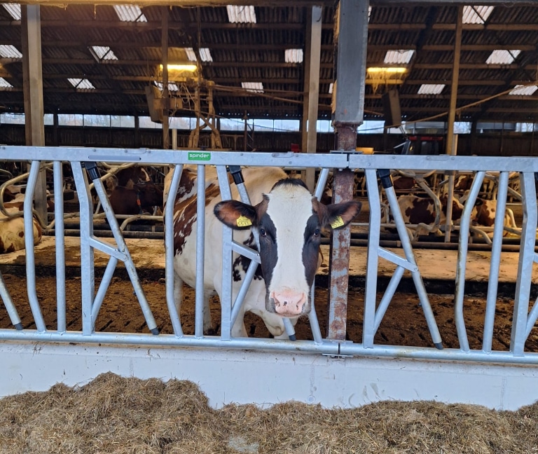 WhatsApp Image 2025-12-08 at 15.15.51 (3)