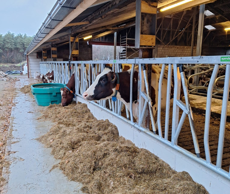 WhatsApp Image 2025-12-08 at 15.15.51