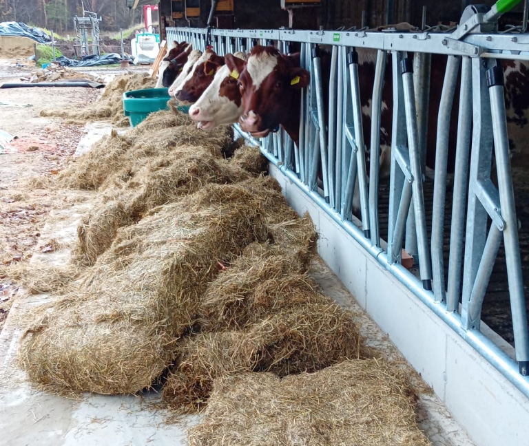 WhatsApp Image 2025-12-08 at 15.15.52 (1)