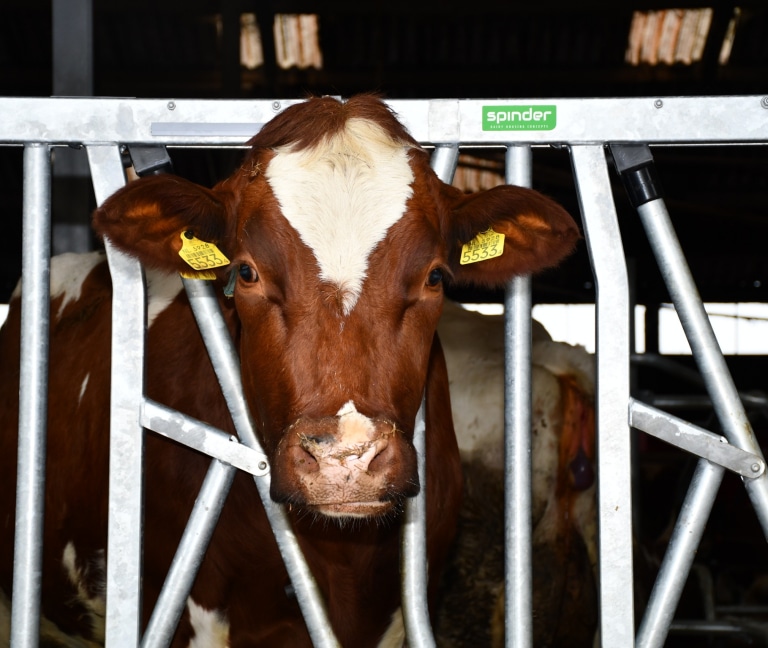 WhatsApp Image 2025-12-08 at 15.15.52