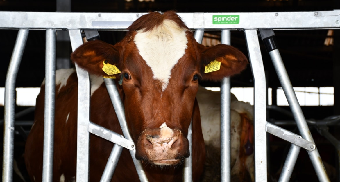 WhatsApp-Image-2025-12-08-at-15.15.52_1400x750_acf_cropped