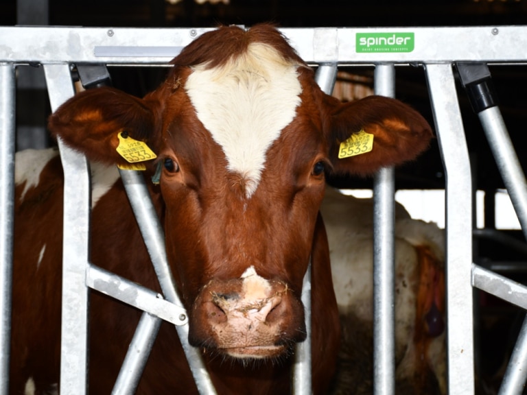 WhatsApp-Image-2025-12-08-at-15.15.52_1400x750_acf_cropped