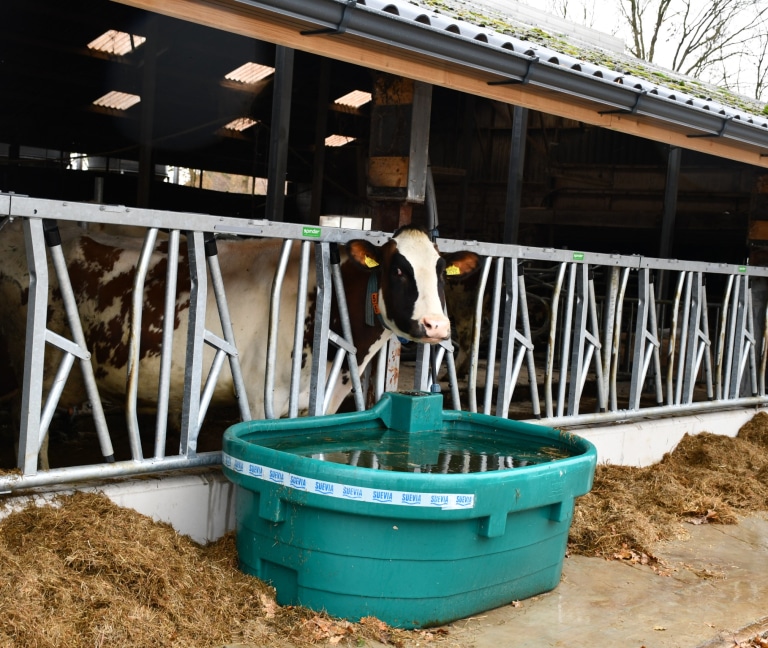 WhatsApp Image 2025-12-08 at 15.15.53 (1)