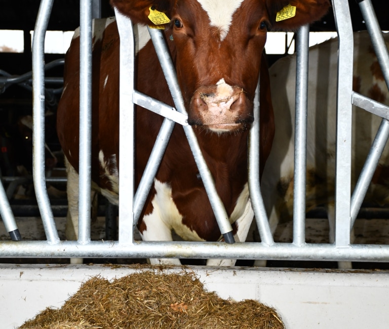 WhatsApp Image 2025-12-08 at 15.15.53 (2)