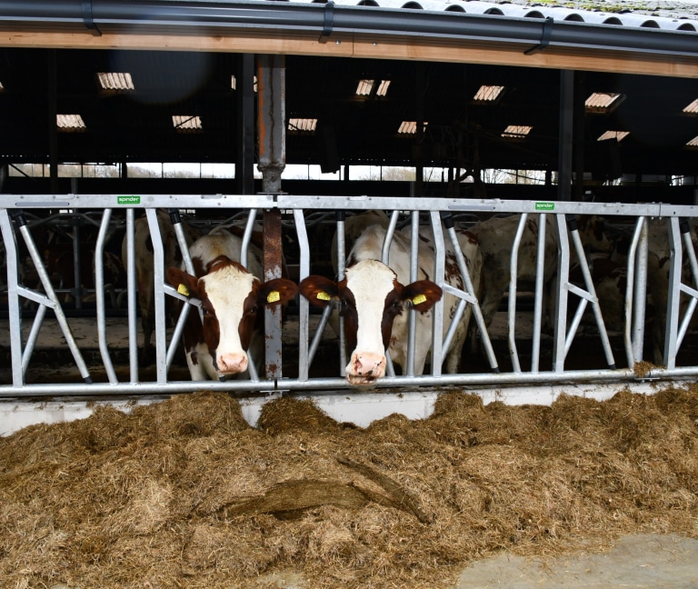 WhatsApp Image 2025-12-08 at 15.15.53