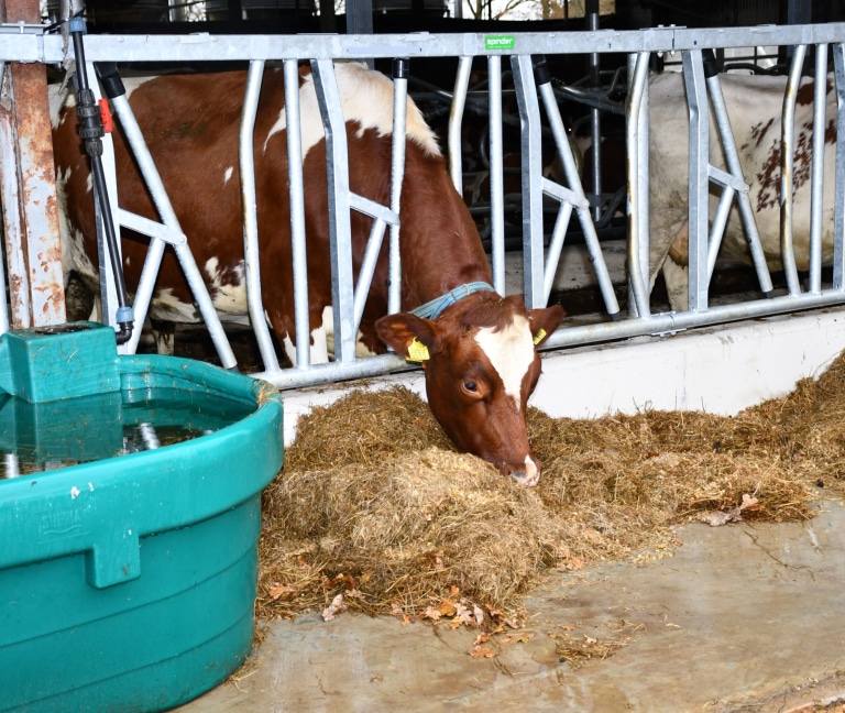 WhatsApp Image 2025-12-08 at 15.15.55