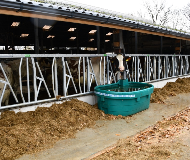 WhatsApp Image 2025-12-08 at 15.15.56