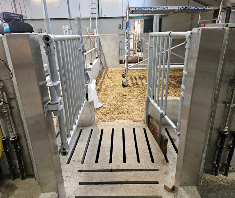 WhatsApp Image 2026-02-05 at 14.29.22 (2)