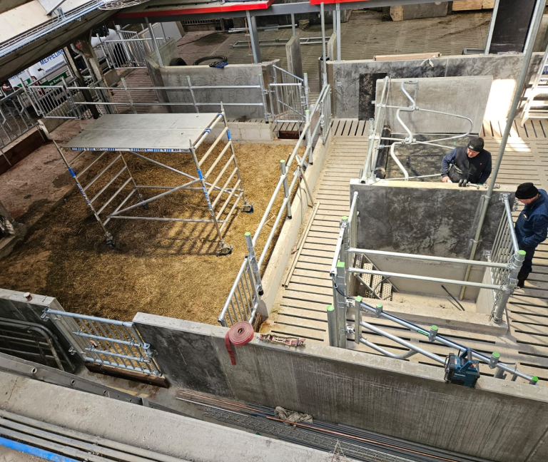 WhatsApp Image 2026-02-05 at 14.29.22 (3)