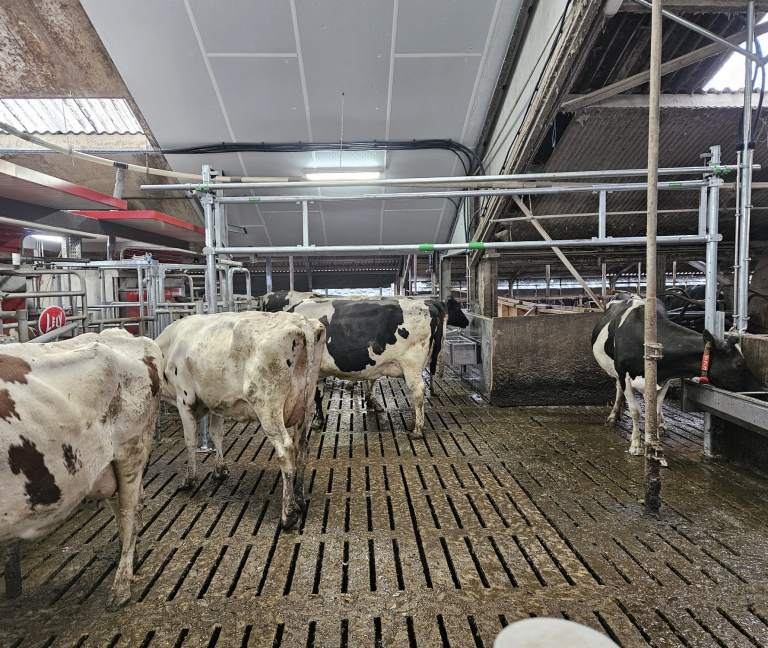 WhatsApp Image 2026-02-05 at 14.29.22