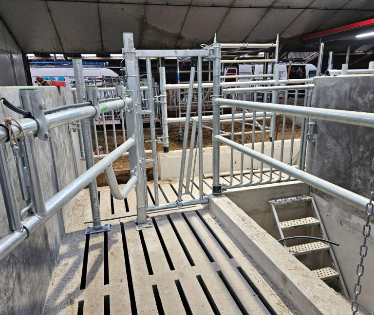 WhatsApp Image 2026-02-05 at 14.29.23 (3)